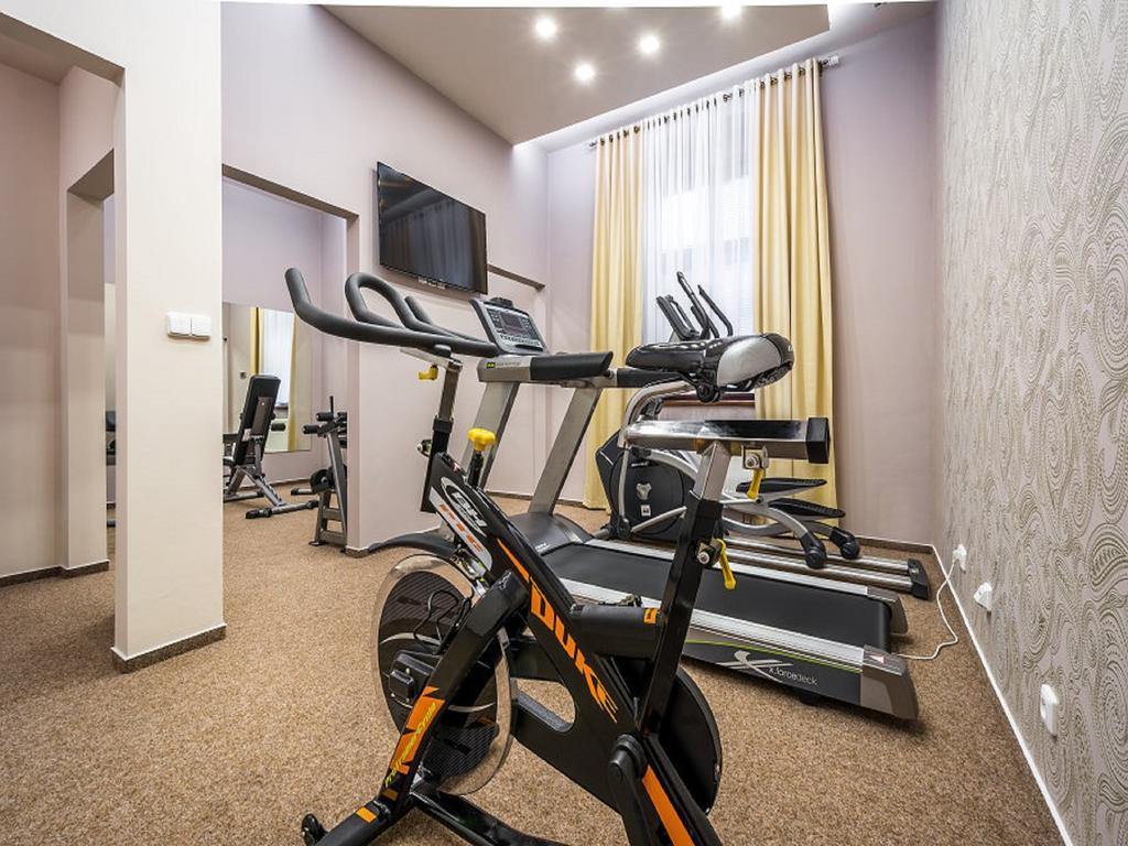 Alexander Hotel Stříbro Екстериор снимка